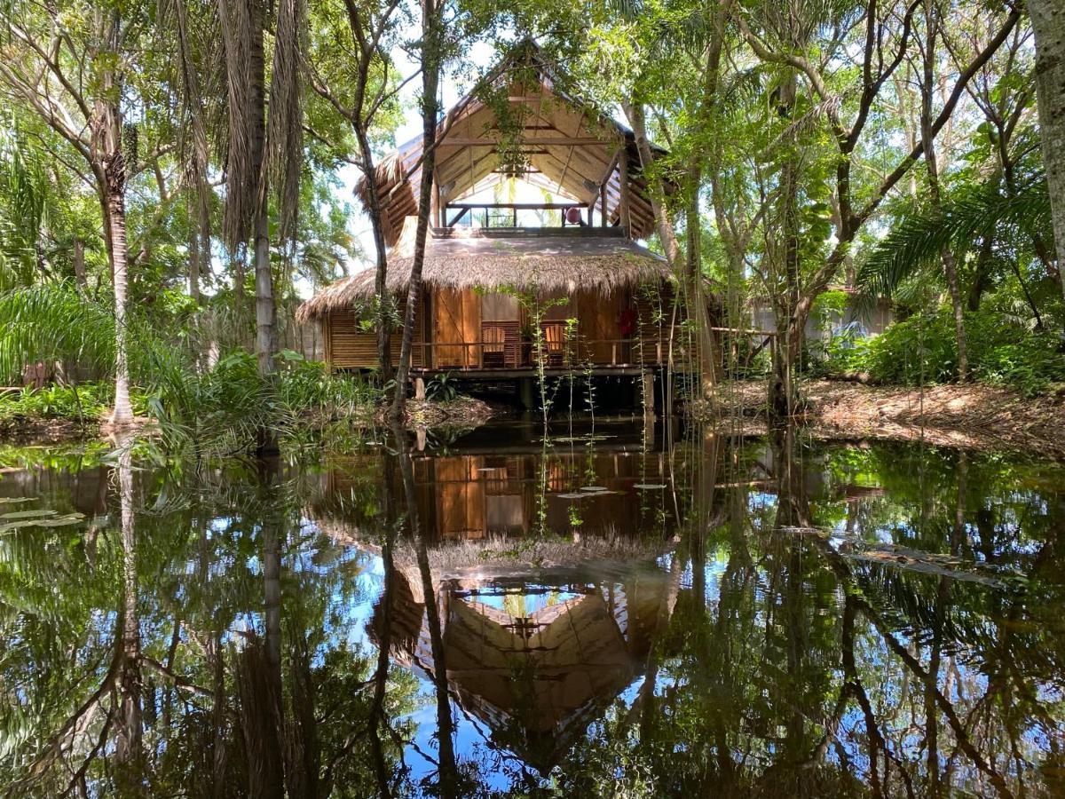 הוילה אקפולקו Jardin Secreto Centro Holistico מראה חיצוני תמונה