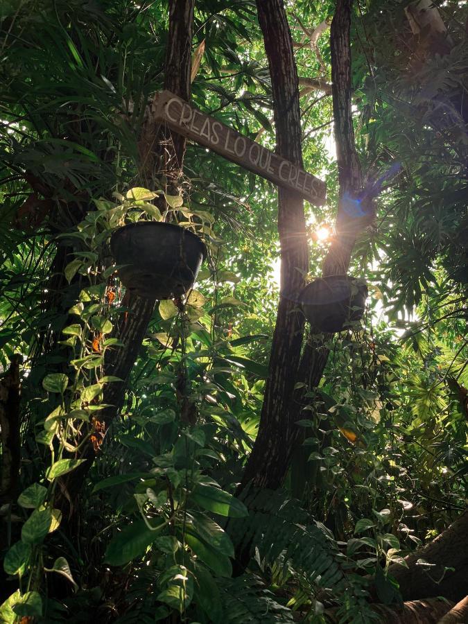 הוילה אקפולקו Jardin Secreto Centro Holistico מראה חיצוני תמונה