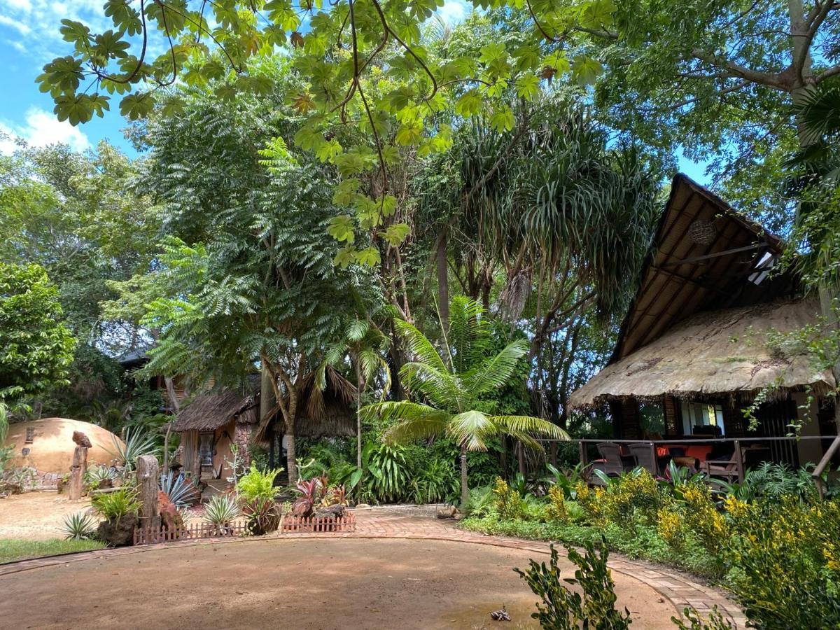 הוילה אקפולקו Jardin Secreto Centro Holistico מראה חיצוני תמונה