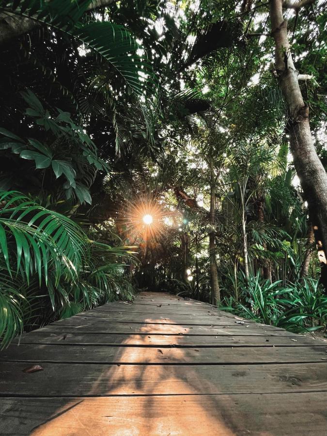 הוילה אקפולקו Jardin Secreto Centro Holistico מראה חיצוני תמונה