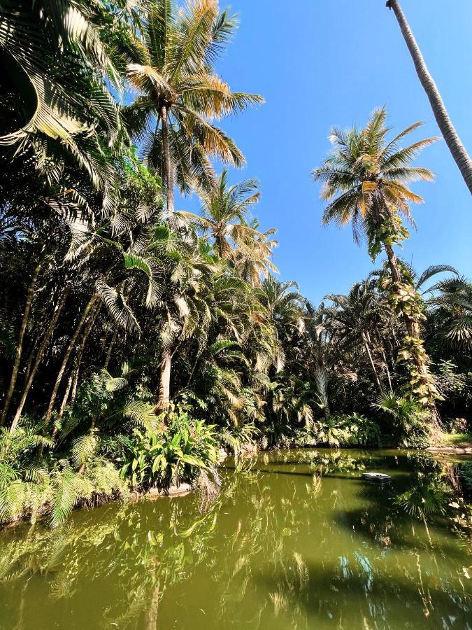 הוילה אקפולקו Jardin Secreto Centro Holistico מראה חיצוני תמונה