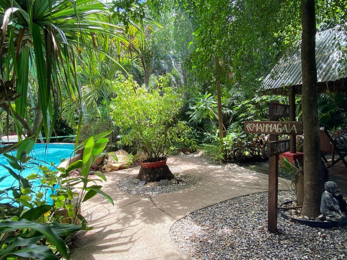 הוילה אקפולקו Jardin Secreto Centro Holistico מראה חיצוני תמונה