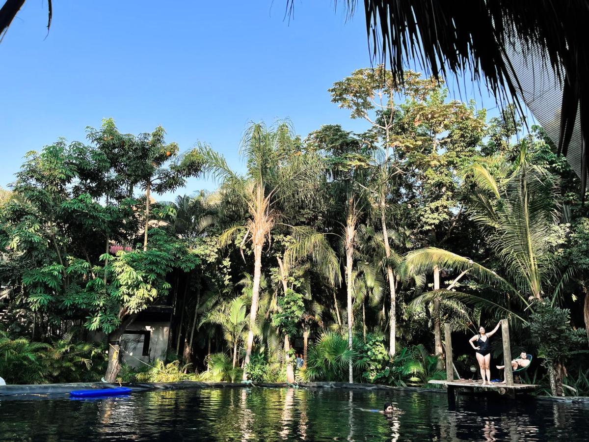 הוילה אקפולקו Jardin Secreto Centro Holistico מראה חיצוני תמונה