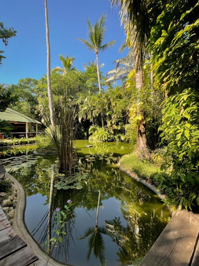 הוילה אקפולקו Jardin Secreto Centro Holistico מראה חיצוני תמונה