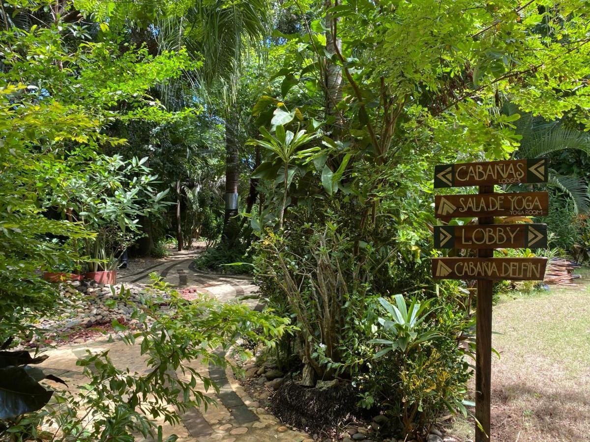 הוילה אקפולקו Jardin Secreto Centro Holistico מראה חיצוני תמונה