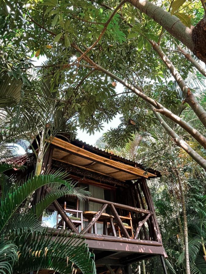 הוילה אקפולקו Jardin Secreto Centro Holistico מראה חיצוני תמונה