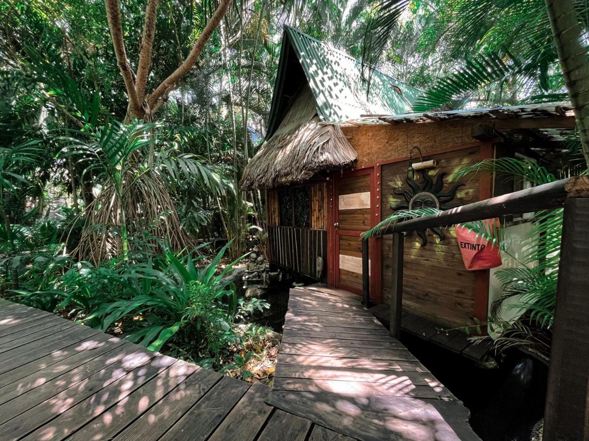 הוילה אקפולקו Jardin Secreto Centro Holistico מראה חיצוני תמונה