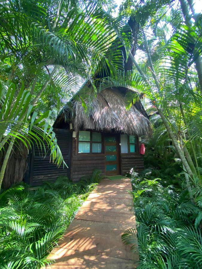 הוילה אקפולקו Jardin Secreto Centro Holistico מראה חיצוני תמונה