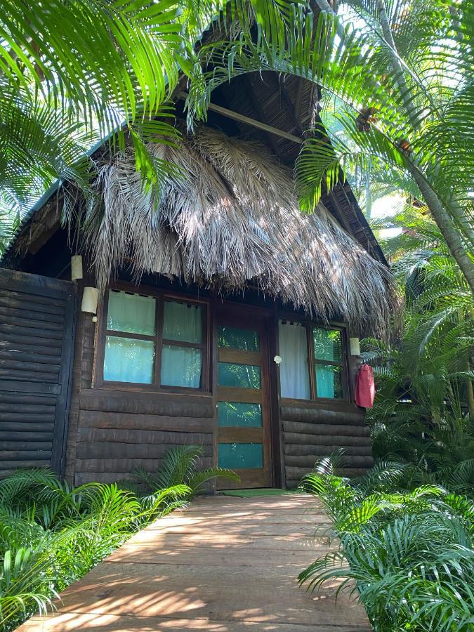 הוילה אקפולקו Jardin Secreto Centro Holistico מראה חיצוני תמונה